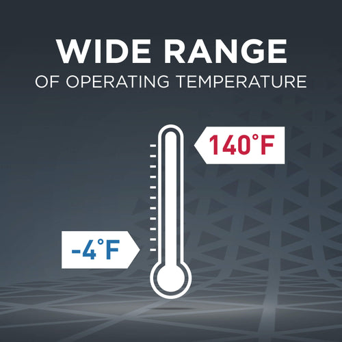 Procell Lithium Coin Intense 2025