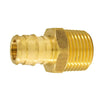 Apollo 1/2 in. Brass PEX-A Barb x 1/2 in. MNPT Male Adapter (1/2 x 1/2)