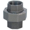 Pipe Fitting, Black Union, 1-1/2-In.