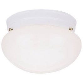 8-Inch Ceiling Light Fixture