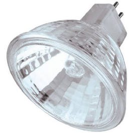 20-Watt Halogen Flood Light With Glass Lens