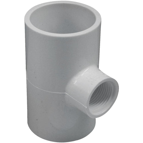 Charlotte Pipe 1-1/2 In. Solvent Weld x 3/4 In. FIP Schedule 40 PVC Tee