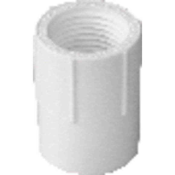 Charlotte Pipe 2-1/2 In. Schedule 40 Female PVC Adapter