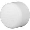 Charlotte Pipe 2-1/2 In. Schedule 40 Pressure Slip PVC Cap