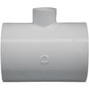 Charlotte Pipe 2 In. Solvent Weld x 1/2 In. FIP Schedule 40 PVC Tee